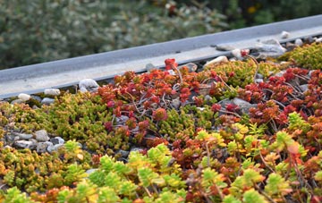 the cost of Wheal Kitty green roof installation