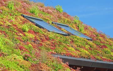 Wheal Kitty living roof systems